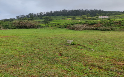 Gallery thumbnail Residential Plot for Sale in Thambatty Village, Ooty