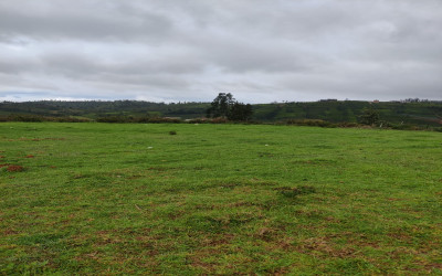 Gallery thumbnail Residential Plot for Sale in Thambatty Village, Ooty