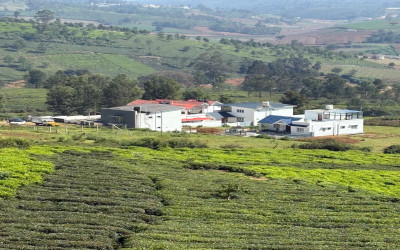 Residential Plot for Sale in Thambatty Village, Ooty